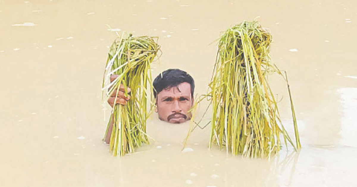 বন্যা পরিস্থিতি : ঘরহারাদের ত্রাণের জন্য অপেক্ষা