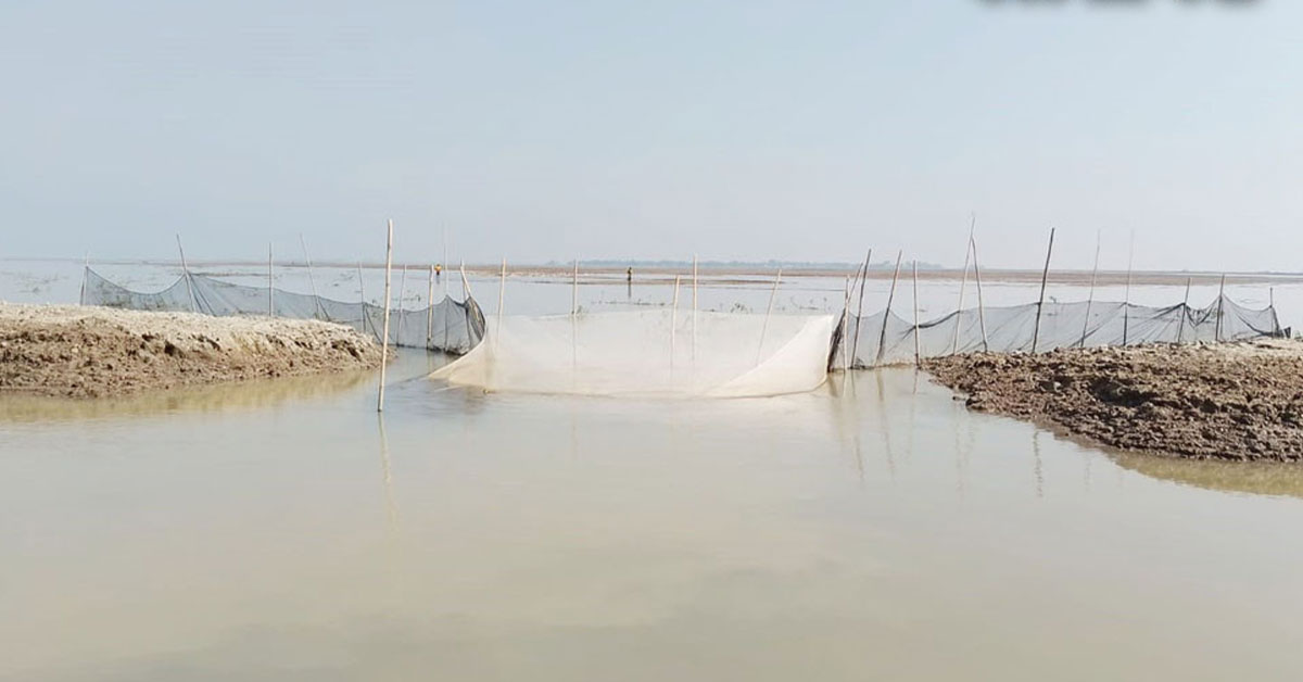 নেত্রকোনায় ফসল রক্ষা বাঁধ কেটে মাছ শিকারের অভিযোগ