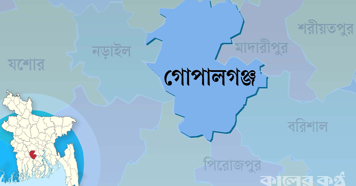 সড়ক পারাপারের সময় অটোরিকশার ধাক্কায় শিশু নিহত