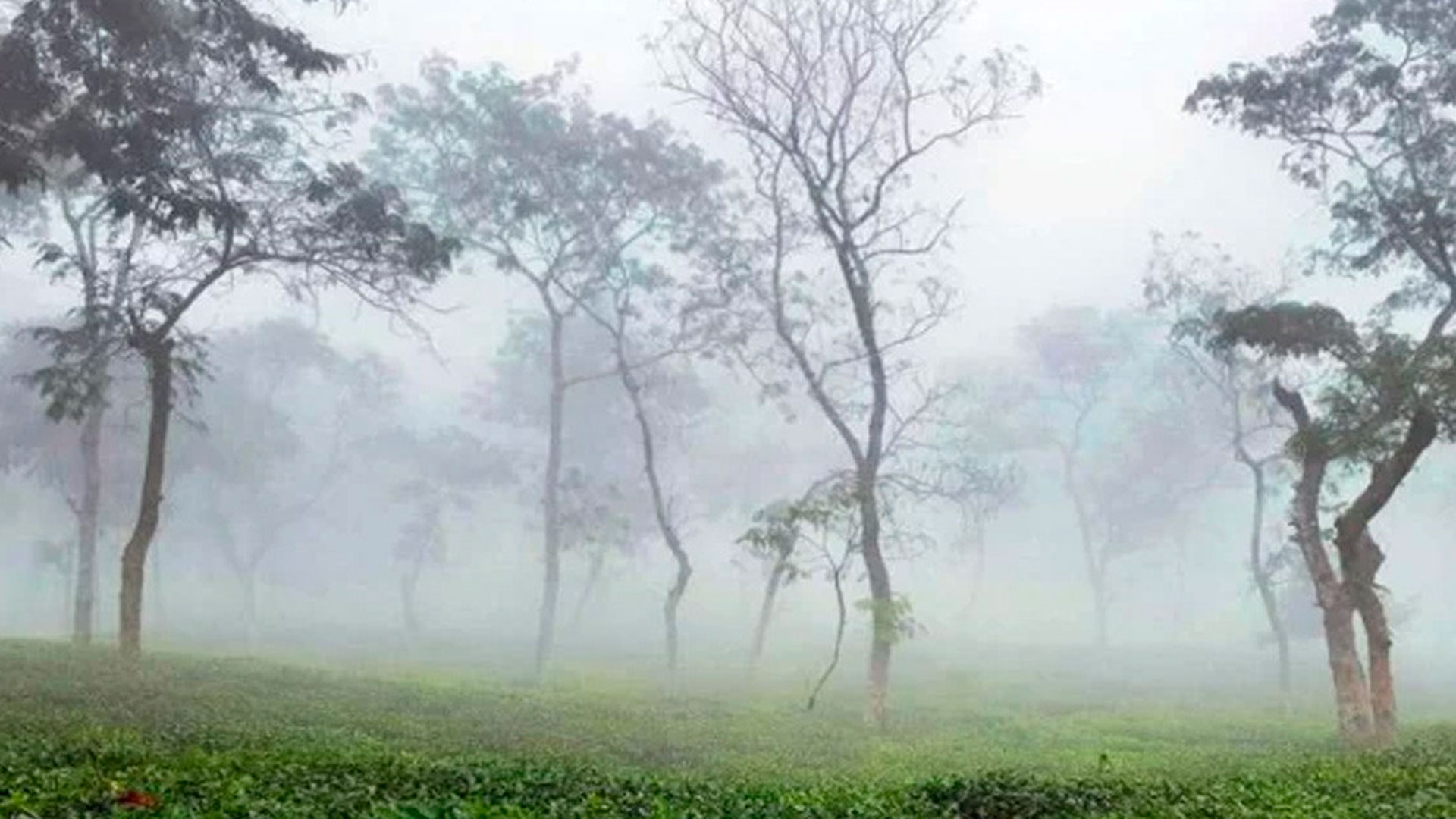 শ্রীমঙ্গলে টানা দুই দিন সর্বনিম্ন তাপমাত্রা