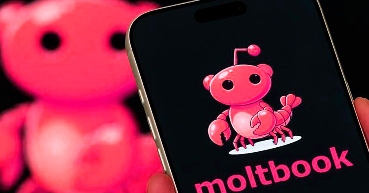 এআইদের জন্য নতুন সোশ্যাল মিডিয়া ‘মল্টবুক’